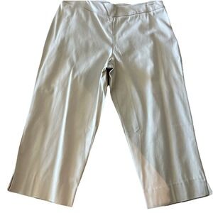 CHAUS Vintage Women's Wide Leg Crop Culotte Gaucho Pants Size 14 Stone Khaki NWT